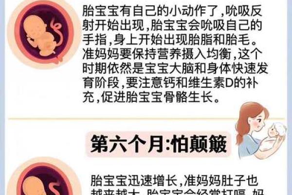 孕妇命理分析：胎儿的命运从八字看