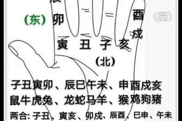 孕妇命理分析：胎儿的命运从八字看