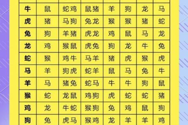 鼠年良缘：揭秘最匹配的生肖组合