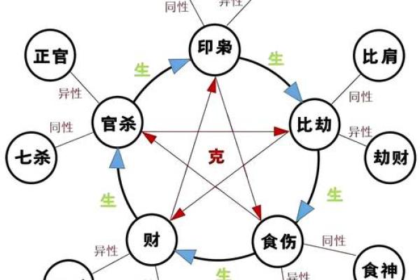 揭秘天干木的神奇性质，如何影响命运走向