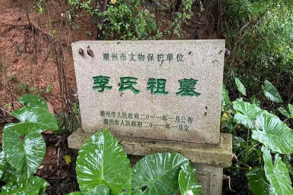揭秘坐艮兼寅风水秘境：旺财旺运的绝佳选址之道