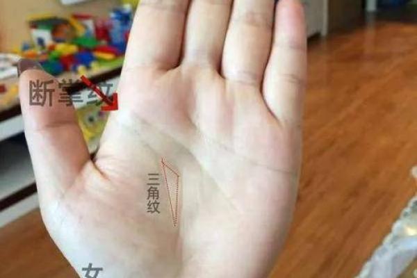 揭秘：手相中的水字奥秘，揭秘命运走势