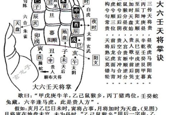 张正丽：揭秘她的命理天赋，命运轨迹究竟如何？