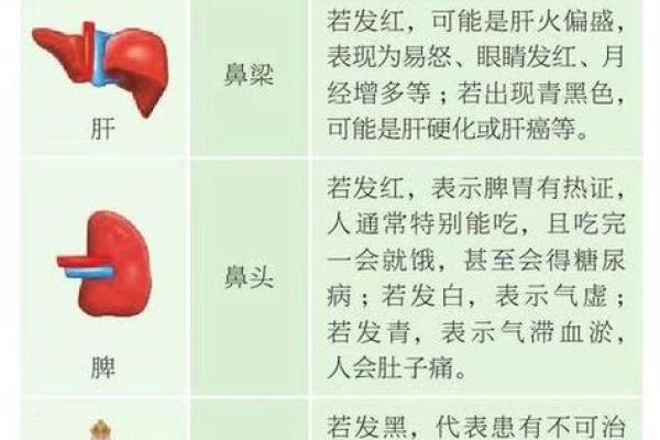 揭秘人体脏腑面相图：识破健康密码，面相中的养生智慧