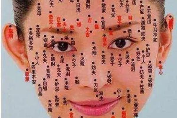 男女面相揭秘：一眼识破命运走向