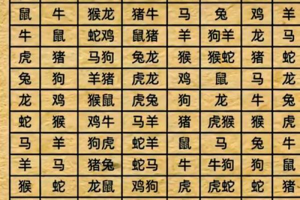 生肖相配大揭秘：老鼠与哪个属相最来电？