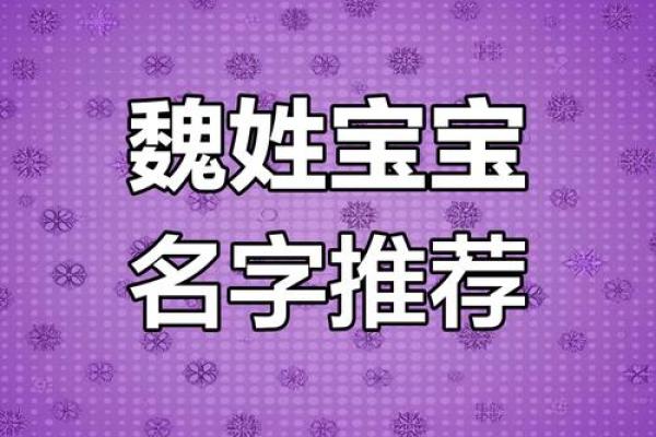 取个独特又有内涵的魏宝宝名字