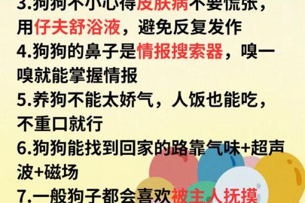狗缘相配秘籍
