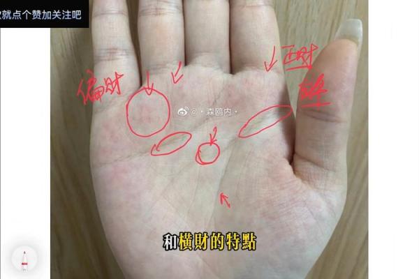 改运秘术揭秘手相中的改运密码，让你运势飙升