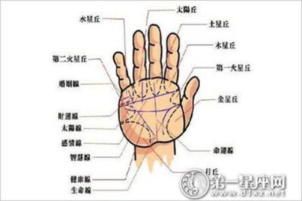 手相揭秘：子女宫的奥秘，一眼看穿你的生育运势