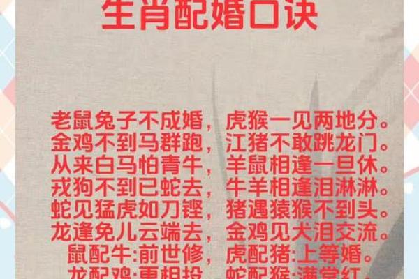生肖配婚指南：幸福婚姻，从了解生肖开始