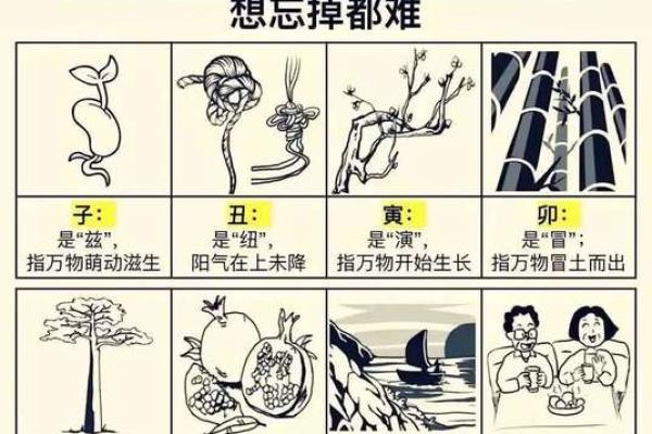 坎纳天干：看透命运背后的深层规律