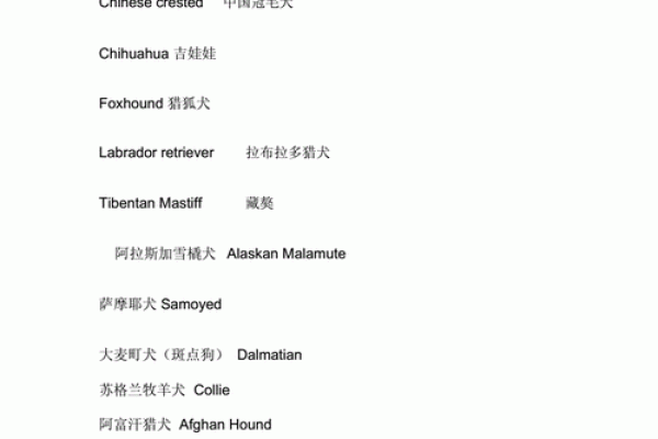 狗狗起名字大全，超可爱名字让你的宠物与众不同