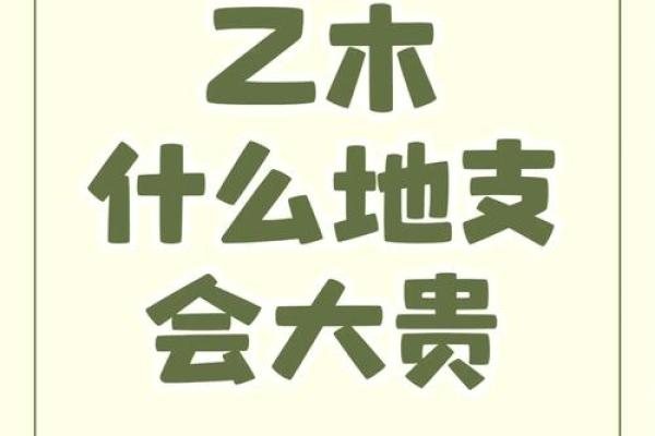 天干乙木解析：你不知道的命理秘密