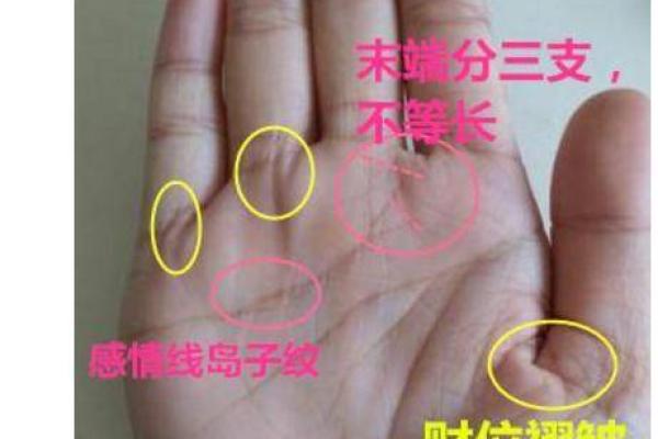 掌中玄机：揭秘手相中的财运密码，让你财运亨通