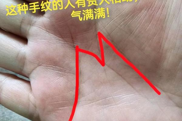 掌中玄机：揭秘手相中的财运密码，让你财运亨通