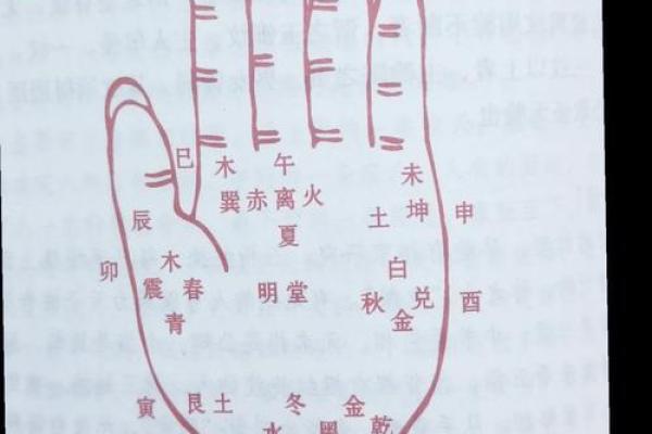 手指上半截不拢，竟暗藏惊人命运密码揭秘手相中的惊人秘密