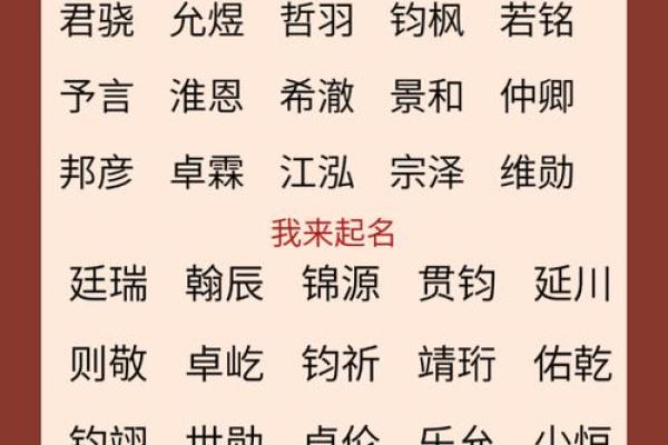 鸿姓宝宝取名宝典，助你选一个有寓意的名字