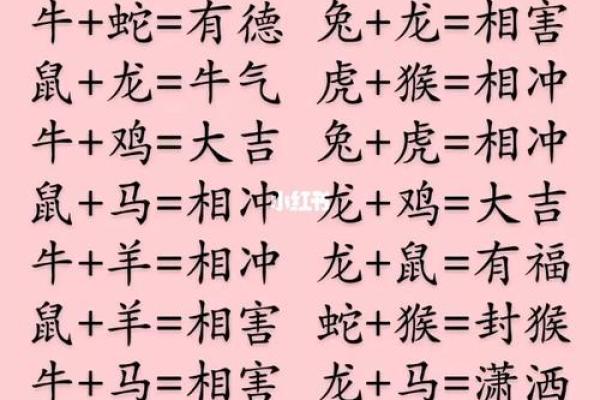 生肖相配宝典：狗狗的理想伴侣属相大盘点