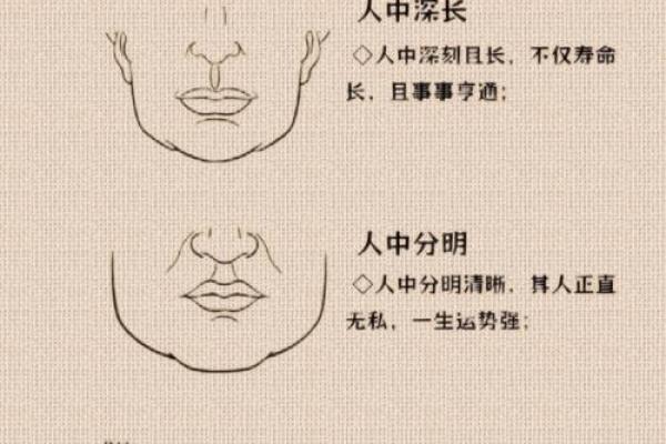 揭秘面相：一眼识人，掌握命运密码