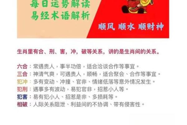 了解白龙生活肖命理，掌握命运密码的秘密