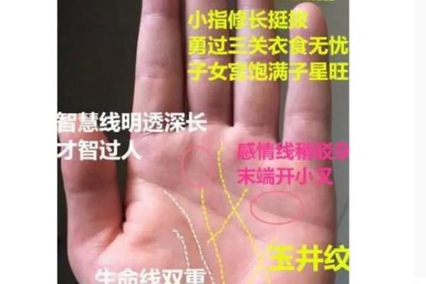 牙齿中间面相暗示财运亨通的秘密