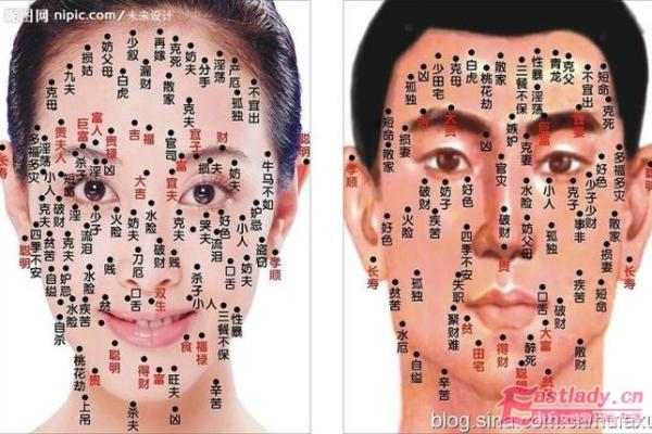 火灾面相揭秘：Selina告诉你如何从面相预知危机