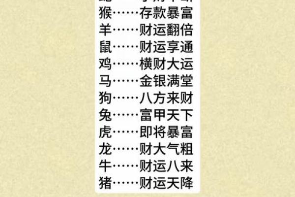 12生肖属性秘籍：解锁命运密码，财运亨通人生