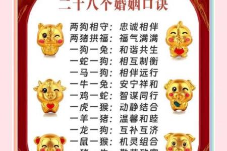 兔龙姻缘：是绝配还是擦肩而过？生肖婚配大解析