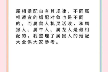 鼠年良缘：揭秘最匹配的生肖组合
