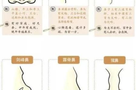 小鼻男人：揭秘面相中的独特魅力