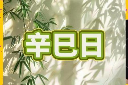 探寻中国传统节日的魅力：揭秘农历中的神秘名俗