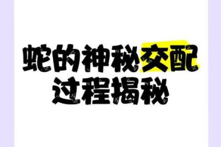 蛇蛇结合：揭秘神秘生肖的独特爱情密码