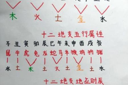 如何通过天干分析每月运势变化？五行属性全面解析