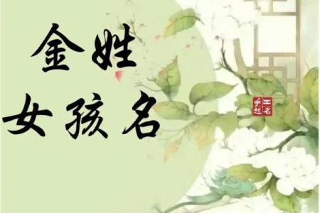 给金姓宝宝起个有寓意的名字，开启美好人生