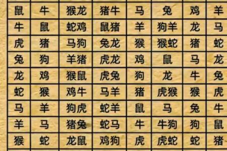 生肖相配大揭秘：老鼠与哪个属相最来电？