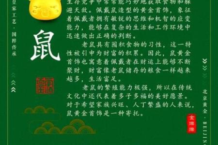 2024年生肖运势揭秘：揭秘你的生肖运势，重一猜生肖，揭秘你的幸运密码