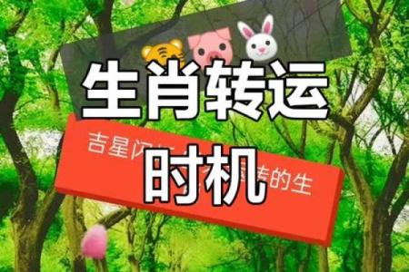 生肖运势大揭秘：精准预测你的幸运时刻