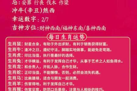 凌晨两点的鼠：揭秘生肖中的神秘命运之谜