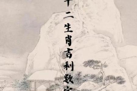 生肖秘语：揭秘你的异性缘之谜