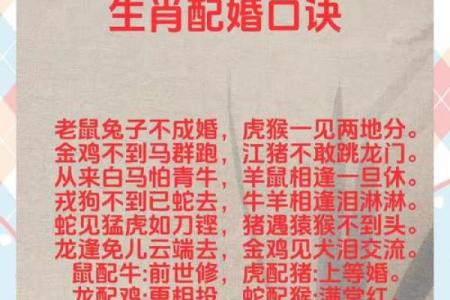 生肖配婚指南：幸福婚姻，从了解生肖开始