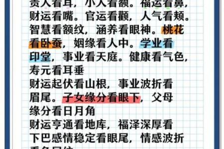 识财气面相，揭秘财运亨通的秘密