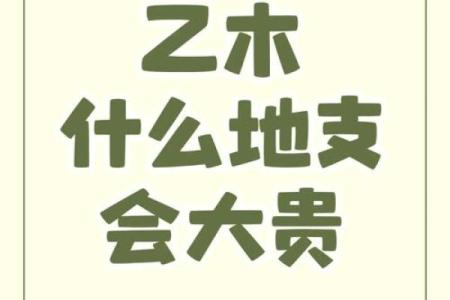天干乙木解析：你不知道的命理秘密