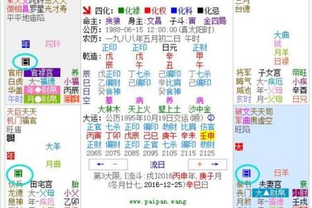 揭秘吉祥玄空飞星排盘：掌握命运的关键