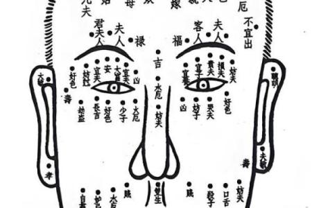 面相解码：一眼识透命运转折点
