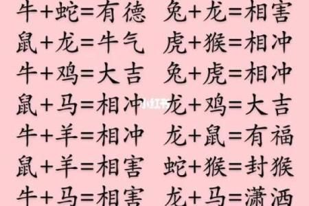 生肖相配宝典：狗狗的理想伴侣属相大盘点