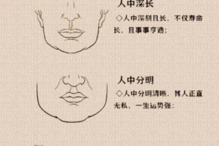 揭秘面相：一眼识人，掌握命运密码