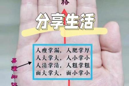 揭秘男女手相相似之谜，揭秘命运与性格的奥秘