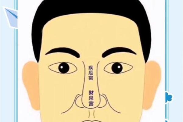 面相解析：揭秘你的运势与性格，相亲必备攻略
