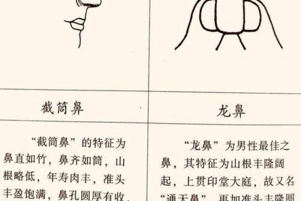 五官神韵解码：揭秘面相中的富贵密码